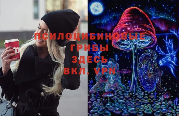 шишки Алексеевка